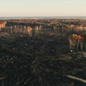 Photo #7 of 12600 CATHARPIN RD, SPOTSYLVANIA, VA 312.0 acres