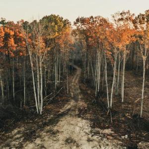 Photo #10 of 12600 CATHARPIN RD, SPOTSYLVANIA, VA 312.0 acres