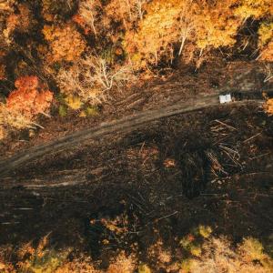 Photo #14 of 12600 CATHARPIN RD, SPOTSYLVANIA, VA 312.0 acres