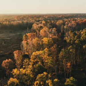 Photo #15 of 12600 CATHARPIN RD, SPOTSYLVANIA, VA 312.0 acres