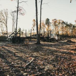 Photo #20 of 12600 CATHARPIN RD, SPOTSYLVANIA, VA 312.0 acres