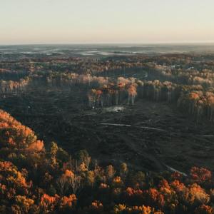 Photo #2 of 12600 CATHARPIN RD, SPOTSYLVANIA, VA 312.0 acres