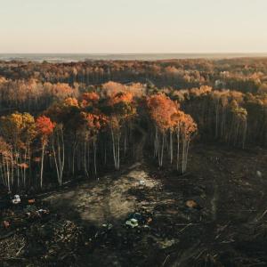 Photo #9 of 12600 CATHARPIN RD, SPOTSYLVANIA, VA 312.0 acres