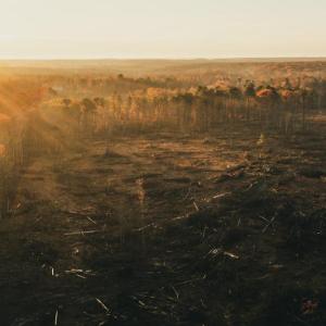 Photo #16 of 12600 CATHARPIN RD, SPOTSYLVANIA, VA 312.0 acres