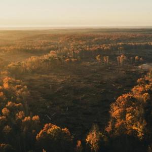 Photo #17 of 12600 CATHARPIN RD, SPOTSYLVANIA, VA 312.0 acres