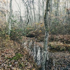 Photo #39 of 12600 CATHARPIN RD, SPOTSYLVANIA, VA 312.0 acres