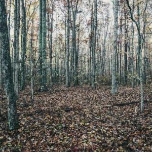 Photo #40 of 12600 CATHARPIN RD, SPOTSYLVANIA, VA 312.0 acres