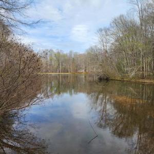 Photo #3 of 7531 SCOTTS FARM RD, SPOTSYLVANIA, VA 5.1 acres