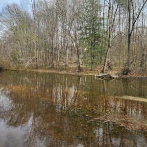 Photo #4 of 7531 SCOTTS FARM RD, SPOTSYLVANIA, VA 5.1 acres