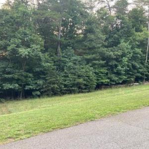 Lot 28 -1