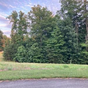 Lot 30- 3