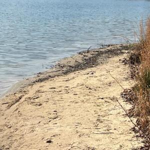 Photo #6 of FAIRVIEW DR, MINERAL, VA 1.1 acres