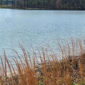 Photo #5 of FAIRVIEW DR, MINERAL, VA 1.1 acres