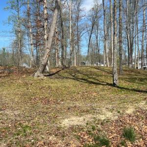 Photo #8 of FAIRVIEW DR, MINERAL, VA 1.1 acres