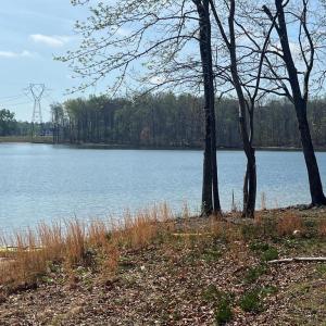 Photo #9 of FAIRVIEW DR, MINERAL, VA 1.1 acres