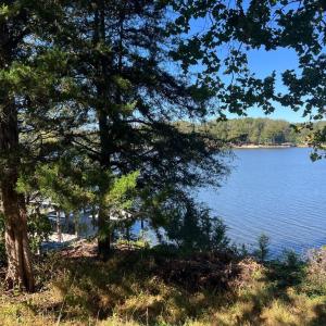 Photo #7 of 1134 LAKESHORE DR, LOUISA, VA 0.3 acres