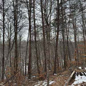 IMG_2304