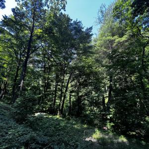 IMG-6916