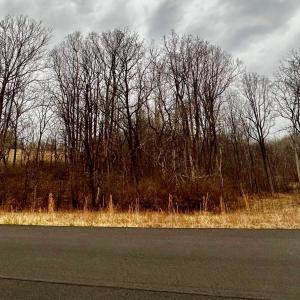 View from Red Barn Ln
