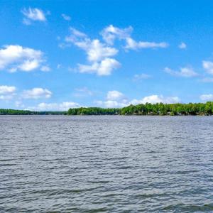 Photo #7 of 204 CONSTITUTION BLVD, LOCUST GROVE, VA 0.3 acres