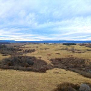DJI_0245