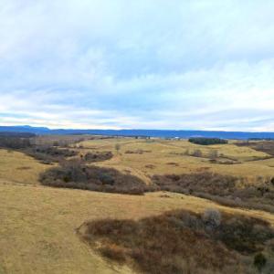 DJI_0244