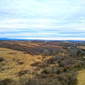 DJI_0246