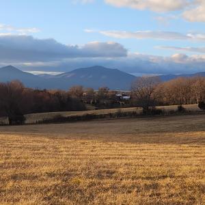 Land view