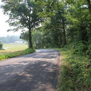 Photo #5 of VALLEY BURG RD, LURAY, VA 58.0 acres