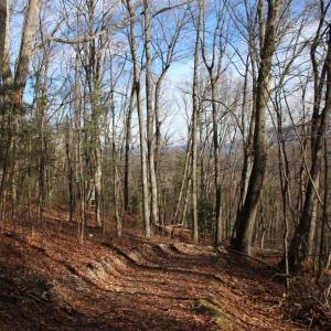 Photo #23 of VALLEY BURG RD, LURAY, VA 58.0 acres