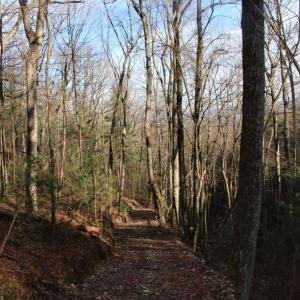 Photo #27 of VALLEY BURG RD, LURAY, VA 58.0 acres