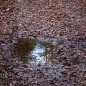 Photo #29 of VALLEY BURG RD, LURAY, VA 58.0 acres