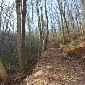 Photo #30 of VALLEY BURG RD, LURAY, VA 58.0 acres