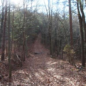 Photo #31 of VALLEY BURG RD, LURAY, VA 58.0 acres