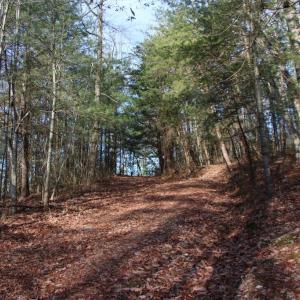 Photo #33 of VALLEY BURG RD, LURAY, VA 58.0 acres