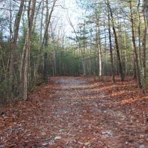 Photo #38 of VALLEY BURG RD, LURAY, VA 58.0 acres