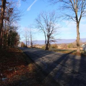 Photo #8 of VALLEY BURG RD, LURAY, VA 58.0 acres