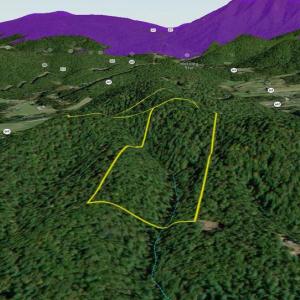 Photo #43 of VALLEY BURG RD, LURAY, VA 58.0 acres