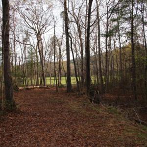 Photo #45 of VALLEY BURG RD, LURAY, VA 58.0 acres