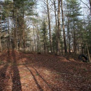 Photo #46 of VALLEY BURG RD, LURAY, VA 58.0 acres