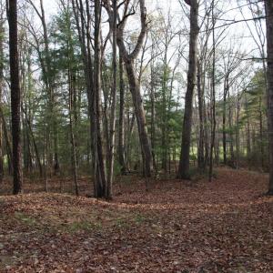 Photo #47 of VALLEY BURG RD, LURAY, VA 58.0 acres
