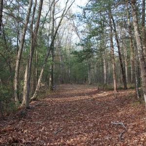 Photo #48 of VALLEY BURG RD, LURAY, VA 58.0 acres
