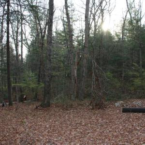 Photo #50 of VALLEY BURG RD, LURAY, VA 58.0 acres