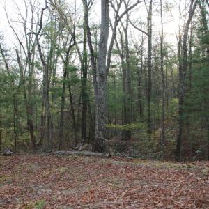 Photo #51 of VALLEY BURG RD, LURAY, VA 58.0 acres