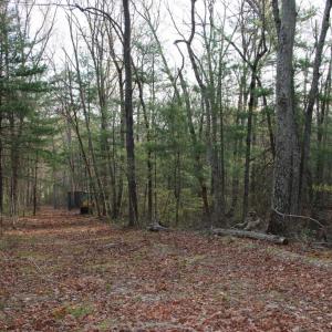 Photo #52 of VALLEY BURG RD, LURAY, VA 58.0 acres