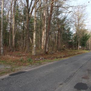 Photo #53 of VALLEY BURG RD, LURAY, VA 58.0 acres