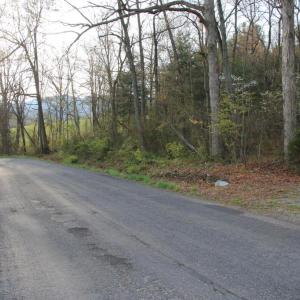 Photo #55 of VALLEY BURG RD, LURAY, VA 58.0 acres