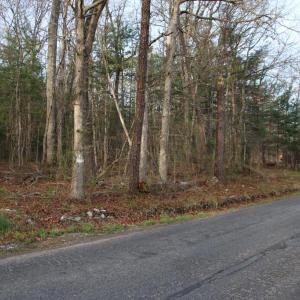 Photo #57 of VALLEY BURG RD, LURAY, VA 58.0 acres