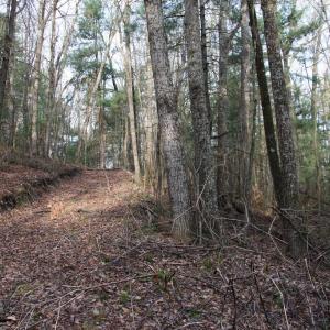 Photo #60 of VALLEY BURG RD, LURAY, VA 58.0 acres