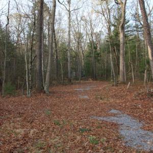 Photo #61 of VALLEY BURG RD, LURAY, VA 58.0 acres